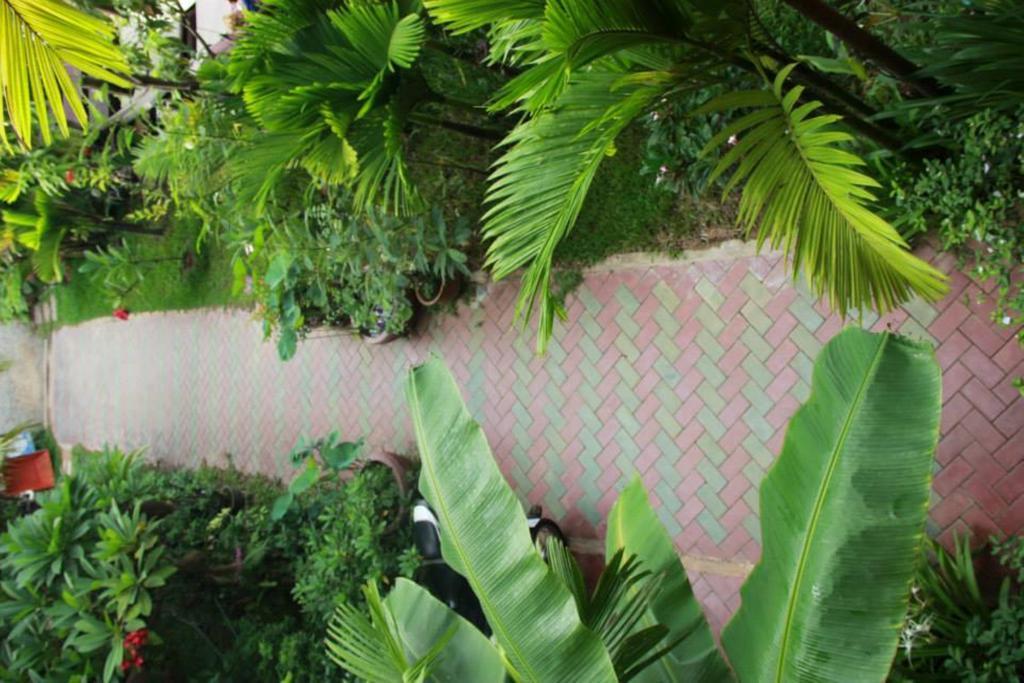 Jasmine Family Hostel Sziemreap Kültér fotó